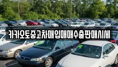 서울 용산구 주성동 중고차매입 전문 카카오토중고차매입매매수출판매시세