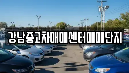 서울 용산구 한강로3가 중고차 전문 강남중고차매매센터매매단지