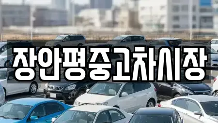 서울 용산구 한강로3가 중고차매매 전문 장안평중고차시장