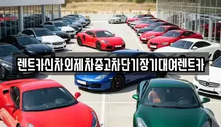 서울 중구 남창동 단기렌트카,중고차매입,중고차매매,중고차,렌트카,장기렌트카