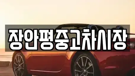 서울 중구 남창동 중고차매매 전문 장안평중고차시장