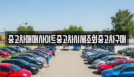 서울 중구 남창동 중고차매매 전문 중고차매매사이트중고차시세조회중고차구매