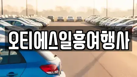 서울 중구 무교동 렌트카 전문 오티에스일흥여행사