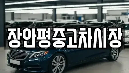 서울 중구 무교동 중고차매매 전문 장안평중고차시장