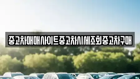 서울 중구 무교동 중고차매매 전문 중고차매매사이트중고차시세조회중고차구매