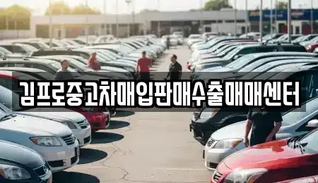 서울 중구 무교동 중고차매입 전문 김프로중고차매입판매수출매매센터