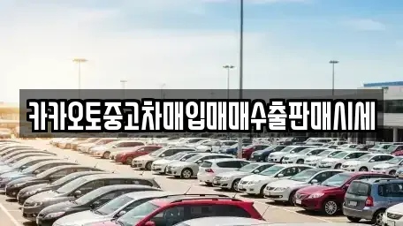 서울 중구 무교동 중고차매입 전문 카카오토중고차매입매매수출판매시세