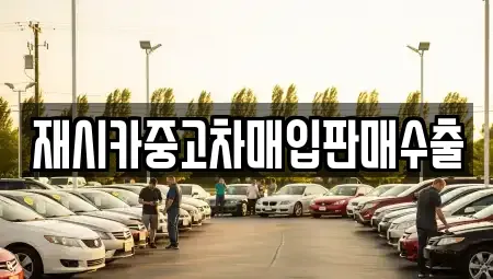 서울특별시 강동구 둔촌동 중고차매매 전문 재시카중고차매입판매수출