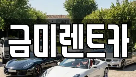 서울특별시 동작구 본동 렌트카 전문 금미렌트카