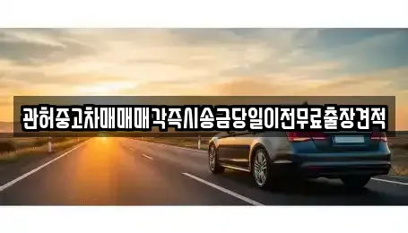 서울특별시 동작구 본동 중고차매매 전문 관허중고차매매매각즉시송금당일이전무료출장견적