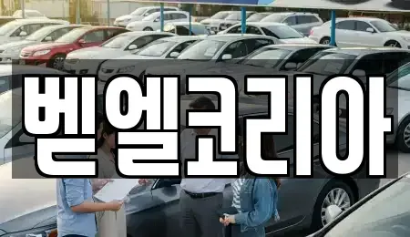 서울특별시 동작구 본동 중고차매매 전문 벧엘코리아