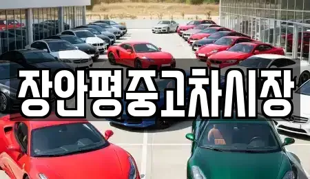 서울특별시 동작구 본동 중고차매매,단기렌트카,중고차매입,장기렌트카,중고차,렌트카