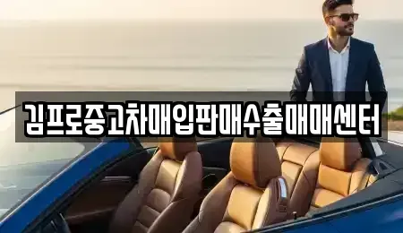 서울특별시 동작구 사당동 중고차 전문 김프로중고차매입판매수출매매센터