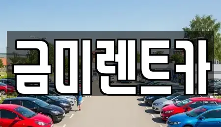 서울특별시 마포구 상암동 렌트카 전문 금미렌트카