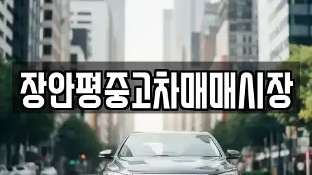 서울특별시 마포구 상암동 중고차 전문 장안평중고차매매시장