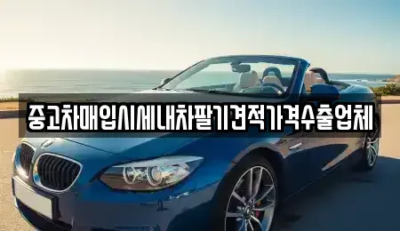 서울특별시 마포구 상암동 중고차 전문 중고차매입시세내차팔기견적가격수출업체