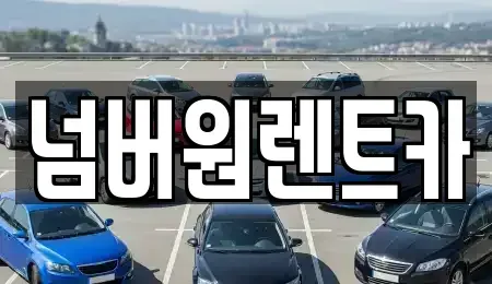 서울특별시 송파구 문정동 단기렌트카 전문 넘버원렌트카