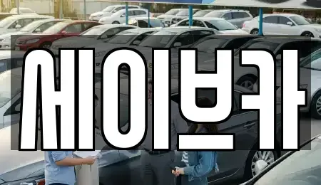 서울특별시 송파구 문정동 렌트카 전문 세이브카