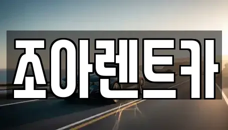서울특별시 송파구 문정동 렌트카 전문 조아렌트카