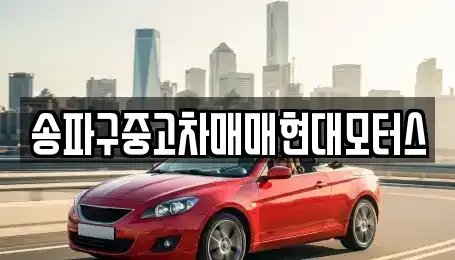 서울특별시 송파구 문정동 중고차 전문 송파구중고차매매현대모터스