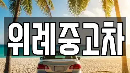 서울특별시 송파구 문정동 중고차 전문 위례중고차