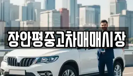 서울특별시 송파구 문정동 중고차 전문 장안평중고차매매시장