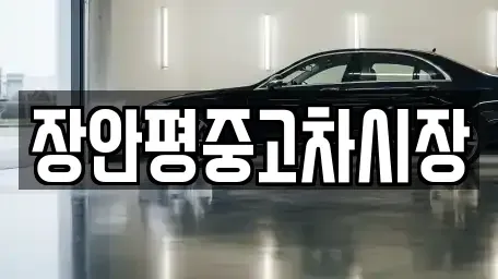 서울특별시 송파구 문정동 중고차 전문 장안평중고차시장
