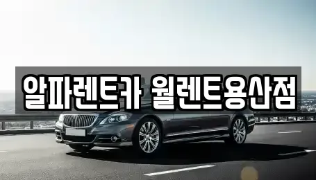 서울특별시 용산구 원효로2가 렌트카 전문 알파렌트카 월렌트용산점