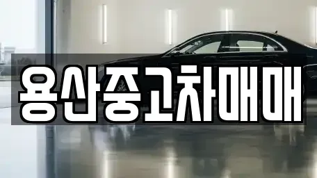 서울특별시 용산구 원효로2가 중고차 전문 용산중고차매매