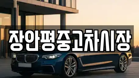 서울특별시 용산구 원효로2가 중고차 전문 장안평중고차시장