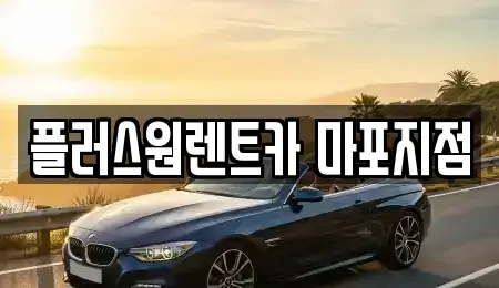 서울특별시 용산구 원효로4가 렌트카 전문 플러스원렌트카 마포지점