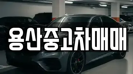 서울특별시 용산구 원효로4가 중고차매매,단기렌트카,중고차매입,장기렌트카,중고차,렌트카