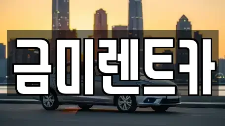 서울특별시 종로구 돈의동 렌트카 전문 금미렌트카
