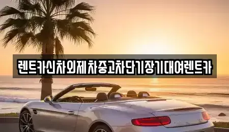 서울특별시 종로구 돈의동 렌트카 전문 렌트카신차외제차중고차단기장기대여렌트카