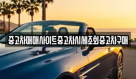 서울특별시 종로구 돈의동 중고차 전문 중고차매매사이트중고차시세조회중고차구매