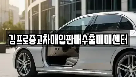 서울특별시 종로구 돈의동 중고차매입 전문 김프로중고차매입판매수출매매센터