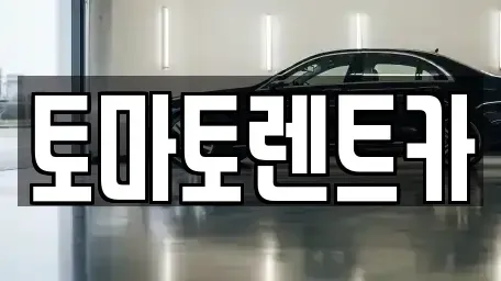 서울특별시 종로구 명륜4가 렌트카 전문 토마토렌트카