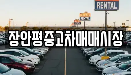 서울특별시 종로구 명륜4가 중고차 전문 장안평중고차매매시장