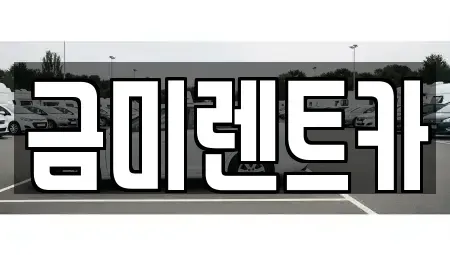 서울특별시 종로구 사간동 렌트카 전문 금미렌트카