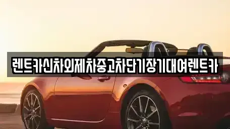 서울특별시 종로구 사간동 장기렌트카 전문 렌트카신차외제차중고차단기장기대여렌트카