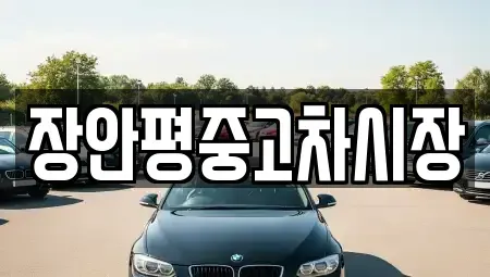 서울특별시 종로구 사간동 중고차 전문 장안평중고차시장