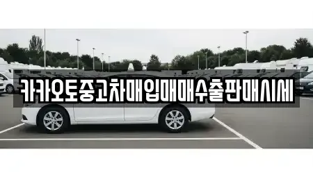 서울특별시 종로구 사간동 중고차매입 전문 카카오토중고차매입매매수출판매시세