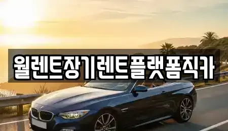 서울특별시 종로구 송월동 렌트카 전문 월렌트장기렌트플랫폼직카
