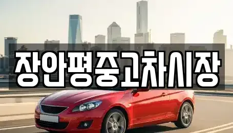 서울특별시 종로구 송월동 중고차매매 전문 장안평중고차시장