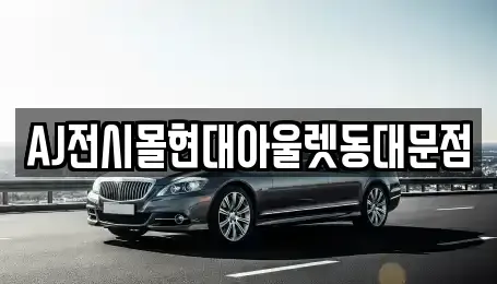 서울특별시 중구 묵정동 렌트카 전문 AJ전시몰현대아울렛동대문점