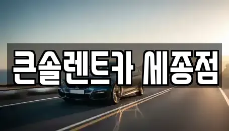 세종 한별동 렌트카 전문 큰솔렌트카 세종점