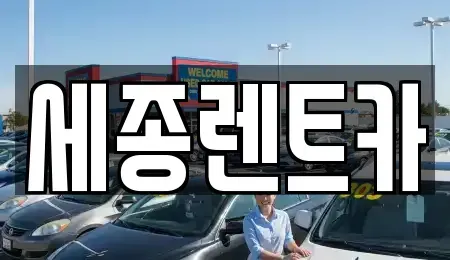 세종특별자치시 반곡동 장기렌트카 전문 세종렌트카