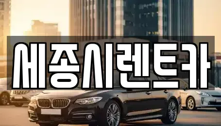 세종특별자치시 반곡동 장기렌트카 전문 세종시렌트카