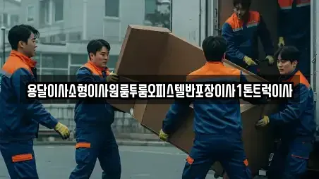 용달이사소형이사원룸투룸오피스텔반포장이사1톤트럭이사