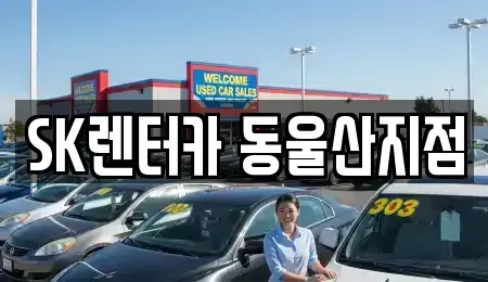 울산 동구 일산동 렌트카 전문 SK렌터카 동울산지점